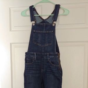 Levi's skinny jean overalls (size 25)